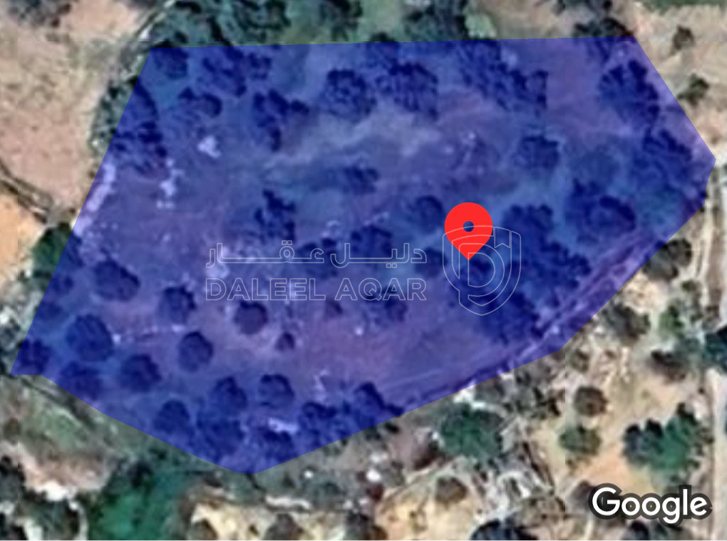 أرض في عجلون /كفرنجه/المشيرفه - 90,000 دأ - صورة 1