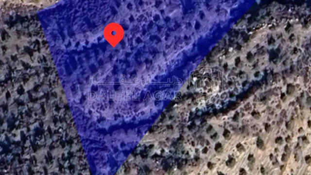 أرض - السلط - الصبيحي - 30000 دأ