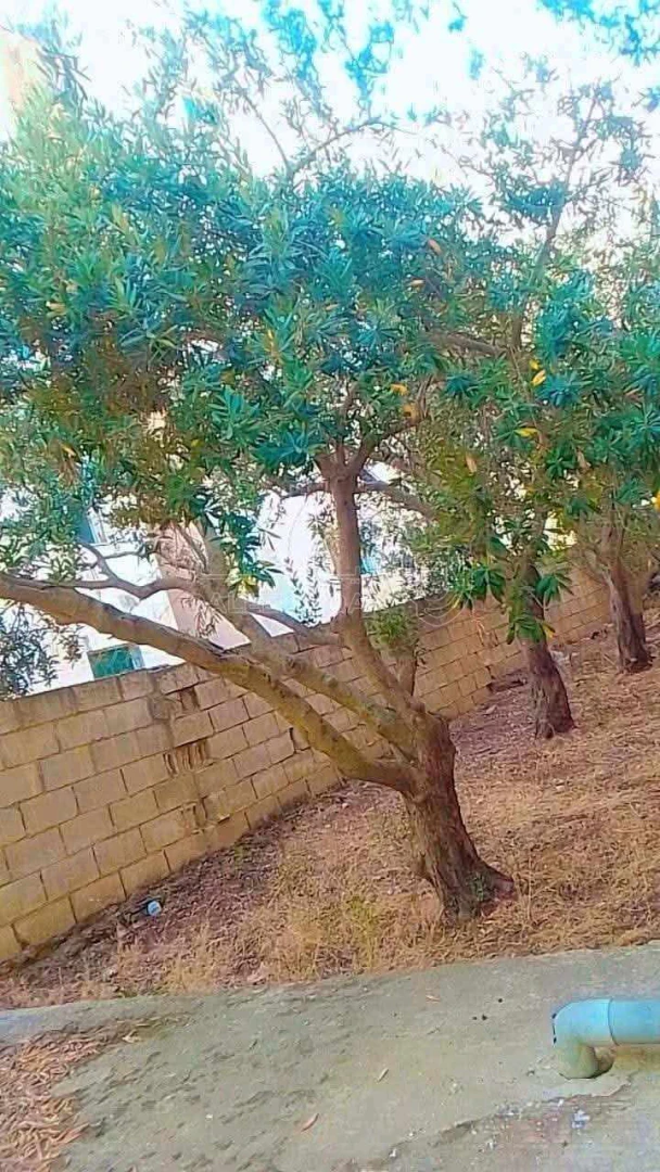 فيلا/منزل في اربد منطقة الرابيه شارع القنيطرة قرب مسجد علياء ال - 280,000 دأ - صورة 1