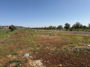 أرض في عمان ناعور طريق مادبا الغربي خلف بلدية حسبان - 66,000 دأ - صورة NaN