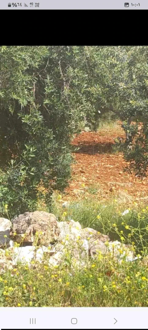 أرض في جرش - 20,000 دأ - صورة 1