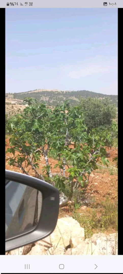 أرض في جرش - 20,000 دأ - صورة 1