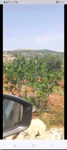 أرض في جرش - 20,000 دأ - صورة NaN