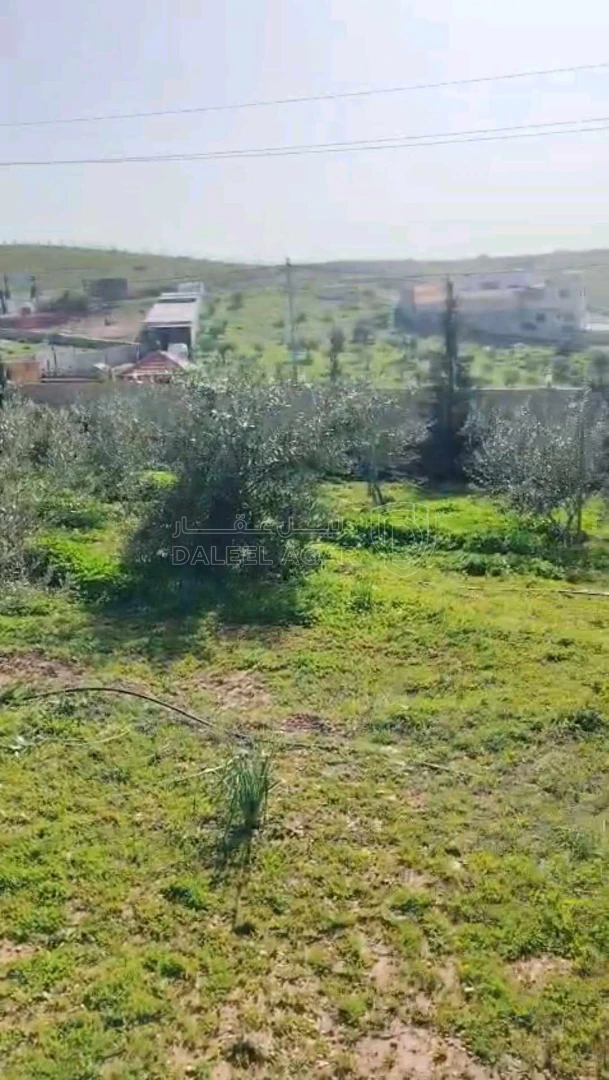 أرض في ارض قرب غريسة - 97,000 دأ - صورة 1