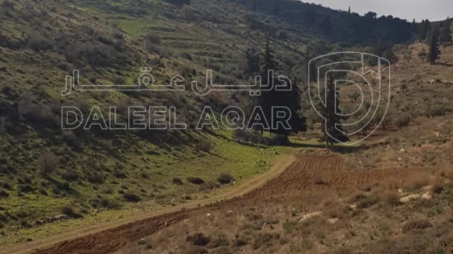 أرض في إسكان الجامعة الأردنية _ بجانب القاعدة الجوية - 55,000 دأ - صورة 1