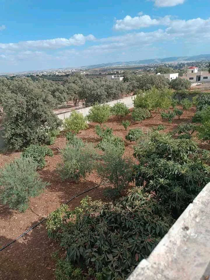 مزرعة/شاليه في زبدة الوسطية - 140,000 دأ - صورة 1