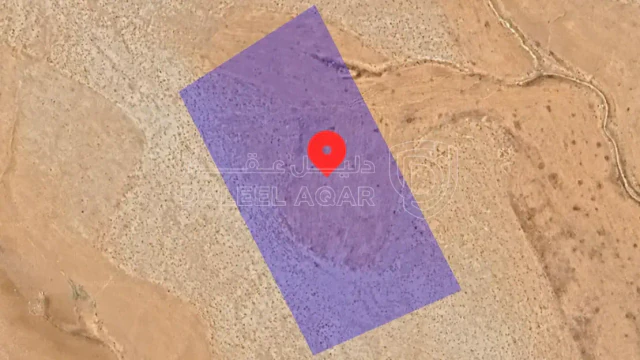 أرض - قطعة ارض للبيع مميزة الموقر  - 50000 دأ