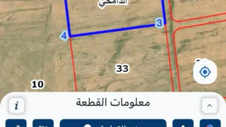 أرض في أرض في محافظة الكرك قرية الدامخي حوض سليط الجنوبي - 20,000 دأ - صورة 1