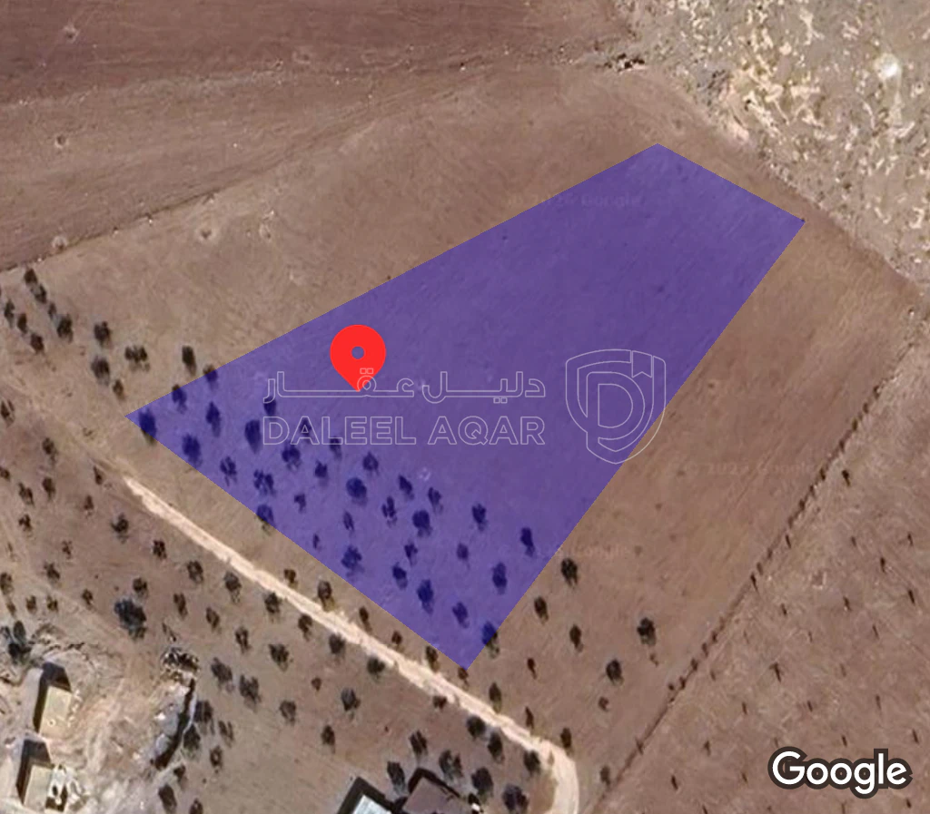 أرض في المفرق-منيفة - 45,000 دأ - صورة 1