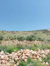 أرض في ارض للبيع عجلون راجب مطل ع السلط وفلسطين - 51,000 دأ - صورة NaN