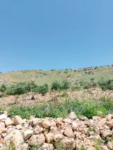 أرض في ارض للبيع عجلون راجب مطل ع السلط وفلسطين - 51,000 دأ - صورة NaN