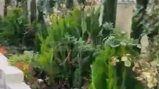 فيلا/منزل - الزرقاء جريبا - 220000 دأ