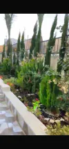 فيلا/منزل - الزرقاء جريبا - 220000 دأ