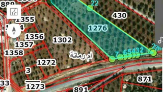 أرض - الزرقاء بيرين ام رمانه - 359590 دأ