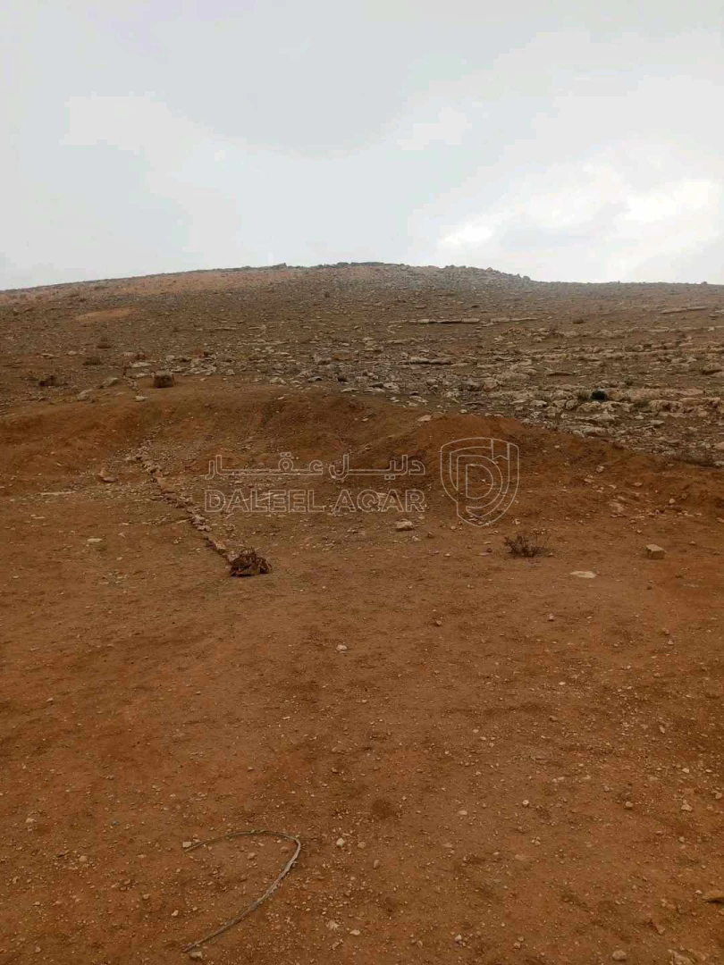 أرض في ارض للبيع مقابل كازيه شريم شارع الميه - 15,000 دأ - صورة 1