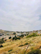 أرض في خلف مطعم قصر الجبل شارع الاردن  - 75,000 دأ - صورة NaN