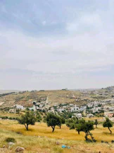 أرض في خلف مطعم قصر الجبل شارع الاردن  - 75,000 دأ - صورة NaN