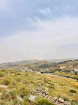 أرض في خلف مطعم قصر الجبل شارع الاردن  - 75,000 دأ - صورة NaN