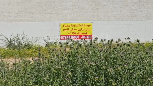 أرض - شارع رفعت شموط  - 575000 دأ