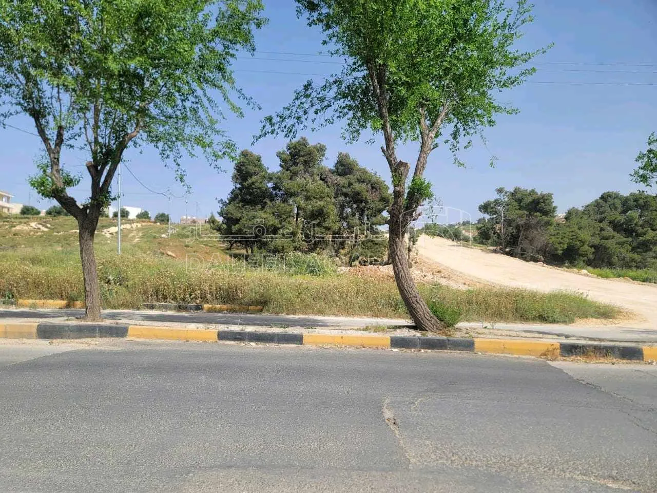 أرض في ناعور مقابل اراضي ناعور مساحة1500م  - 200,000 دأ - صورة 1