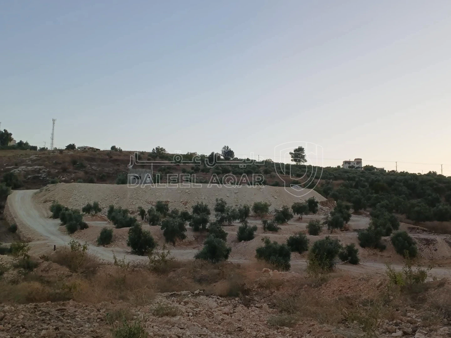 أرض في اربد الوسطية اراضي قم - 80,000 دأ - صورة 1