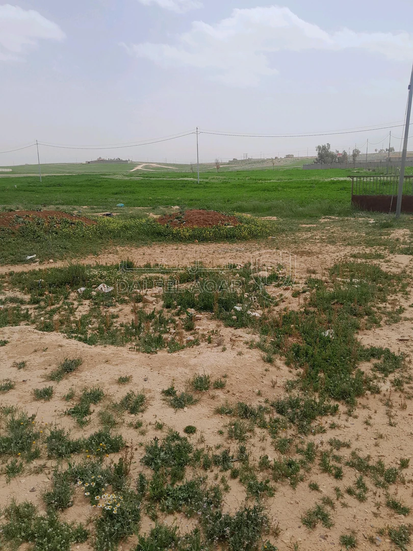 مزرعة/شاليه في قعفور تحت جامع ميسر الحديد قرب شاليه الاصيل - 63,000 دأ - صورة 1