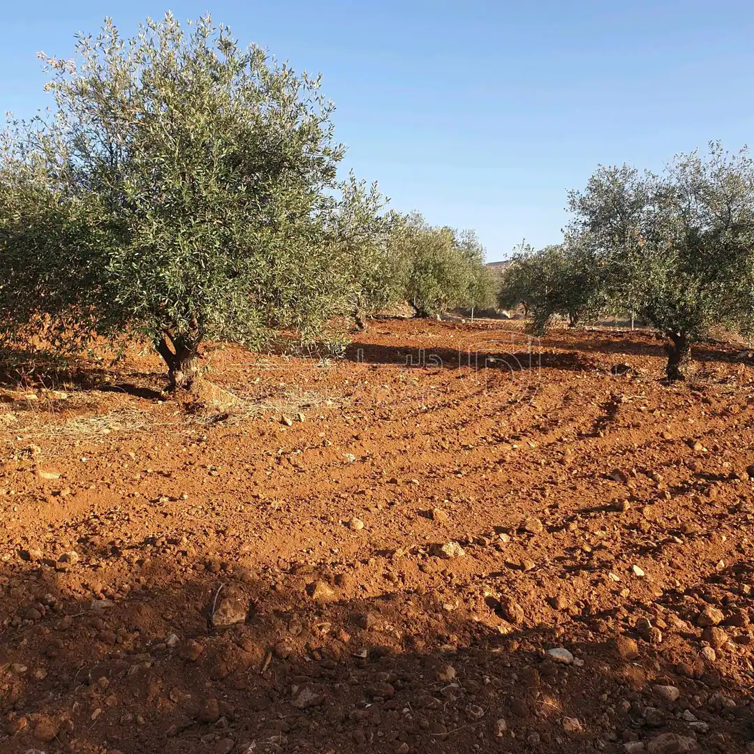 أرض في طريق جرش  - 39,500 دأ - صورة 1