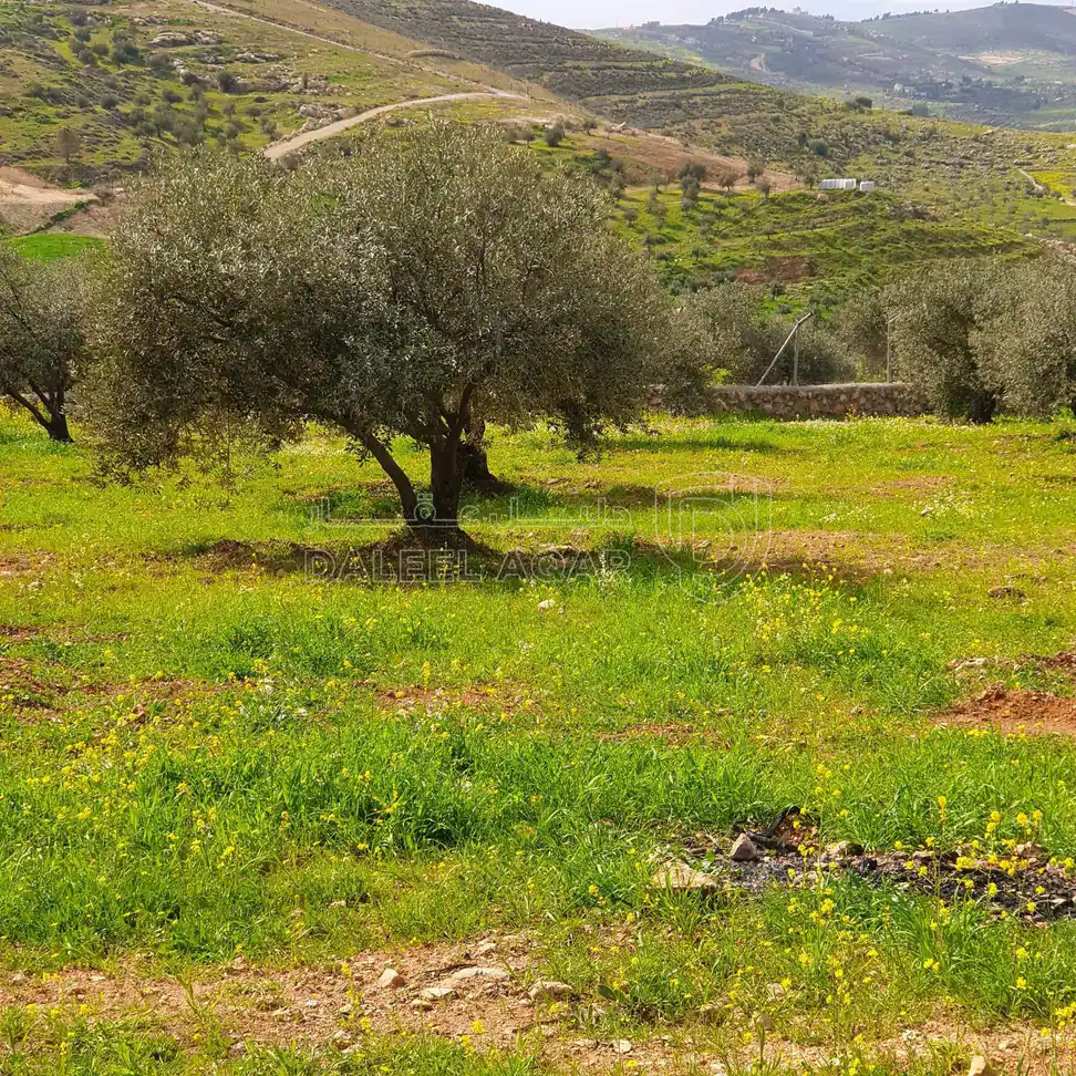 أرض في طريق جرش  - 39,500 دأ - صورة 1