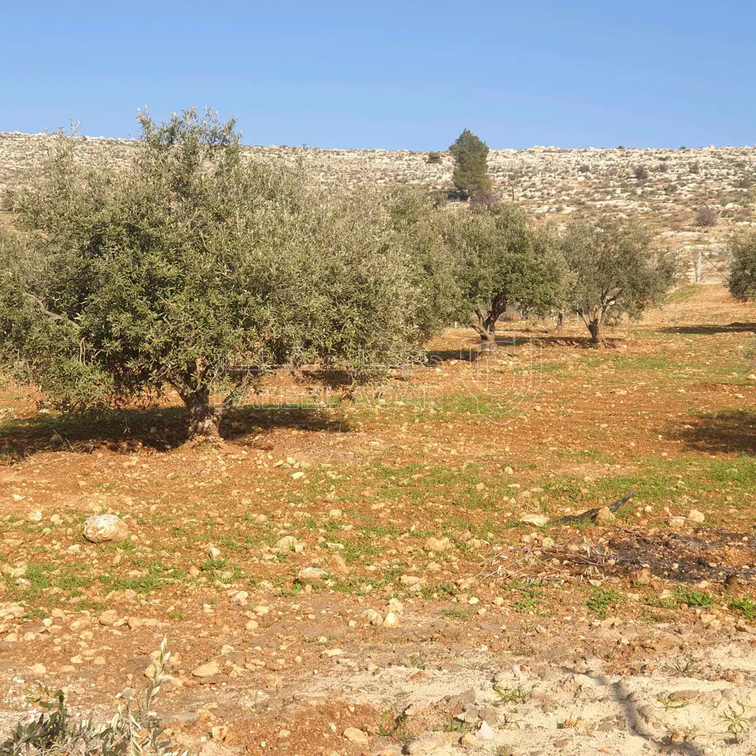 أرض في طريق جرش  - 39,500 دأ - صورة 1