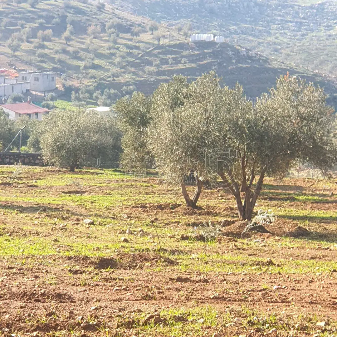 أرض في طريق جرش  - 39,500 دأ - صورة 1