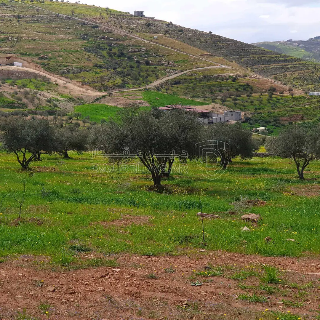 أرض في طريق جرش  - 39,500 دأ - صورة 1