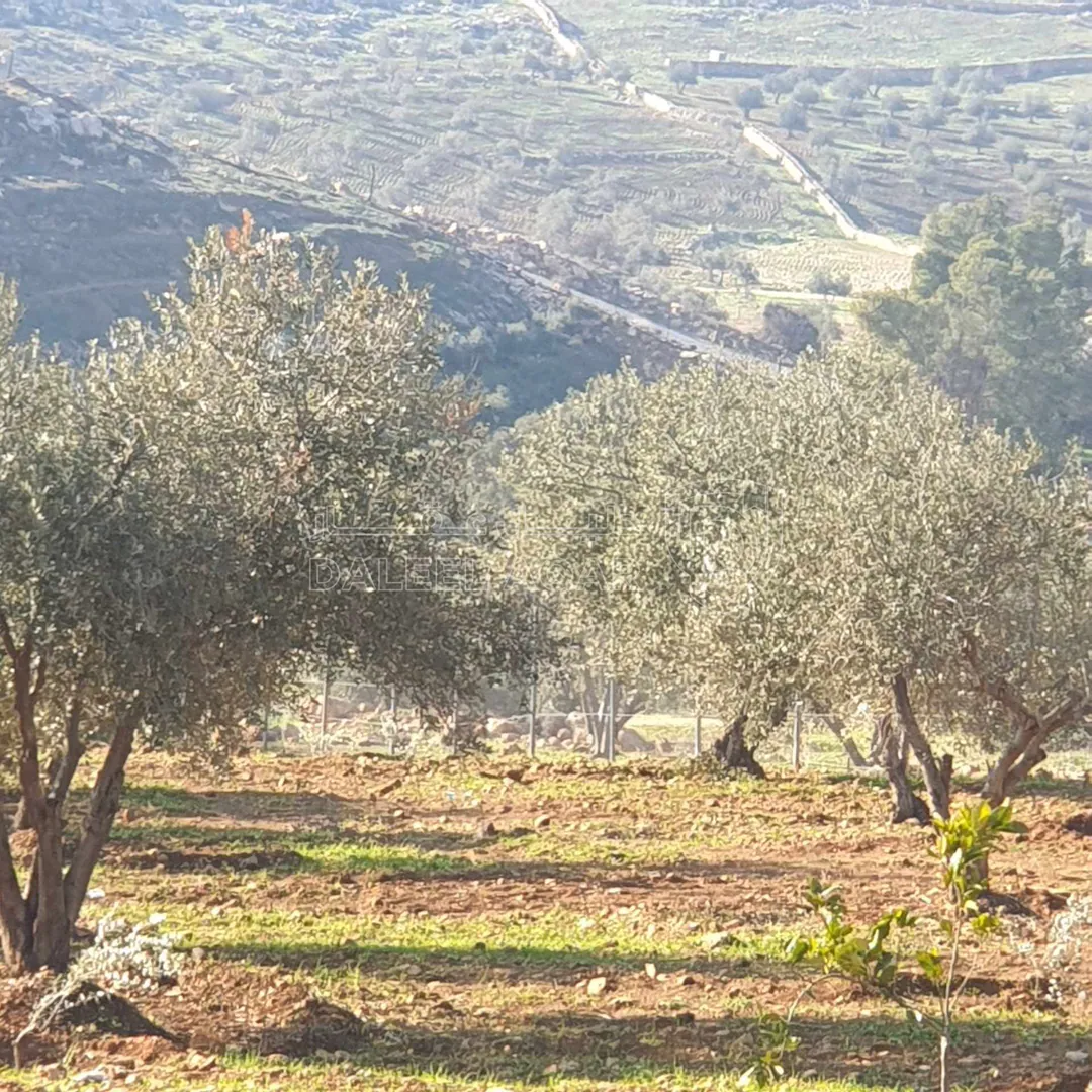 أرض في طريق جرش  - 39,500 دأ - صورة 1