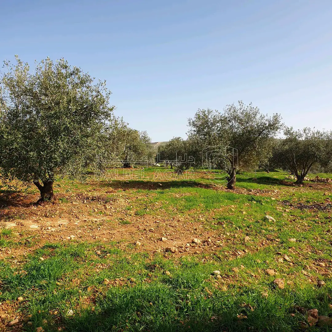 أرض في طريق جرش  - 39,500 دأ - صورة 1