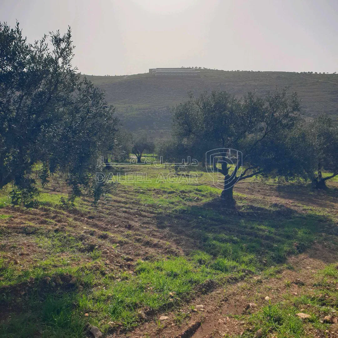 أرض في طريق جرش  - 39,500 دأ - صورة 1