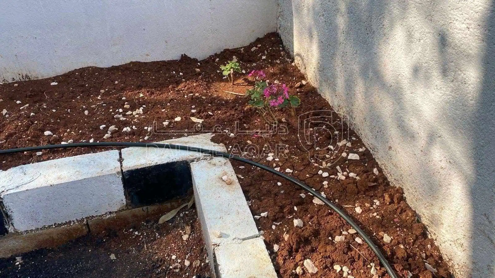 مزرعة/شاليه في جرش - 180,000 دأ - صورة 1