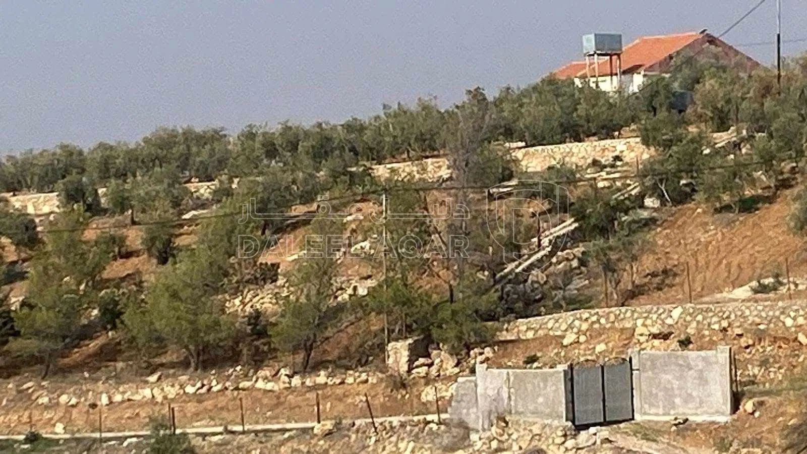 مزرعة/شاليه في جرش - 180,000 دأ - صورة 1