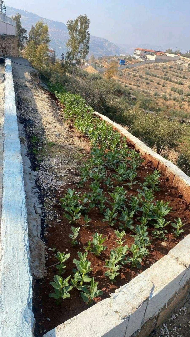 مزرعة/شاليه في جرش - 180,000 دأ - صورة 1