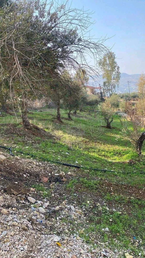 مزرعة/شاليه في جرش - 180,000 دأ - صورة 1