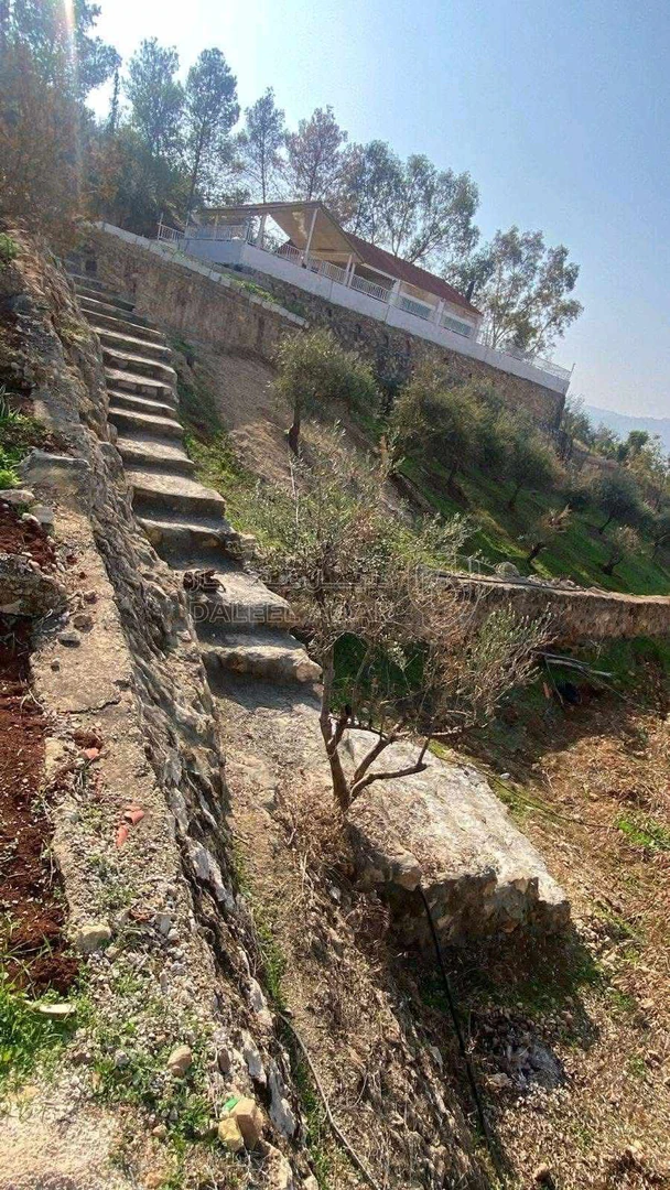 مزرعة/شاليه في جرش - 180,000 دأ - صورة 1