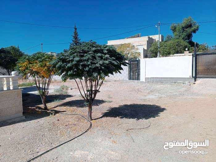 فيلا/منزل في المفرق /مثلث حوشا - 60,000 دأ - صورة 2