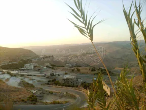 أرض في عمان ناعور زبود وسيل الحسبان - 28,000 دأ - صورة NaN