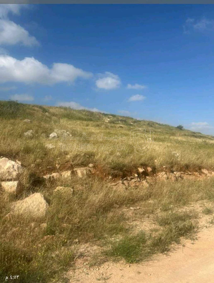 أرض في عمان طريق المطار رجم عميش بجانب فندق ايفرس - 445,000 دأ - صورة 1