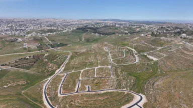 أرض في ارض للبيع في شفا بدران -زينات الربوع - 70,000 دأ - صورة NaN