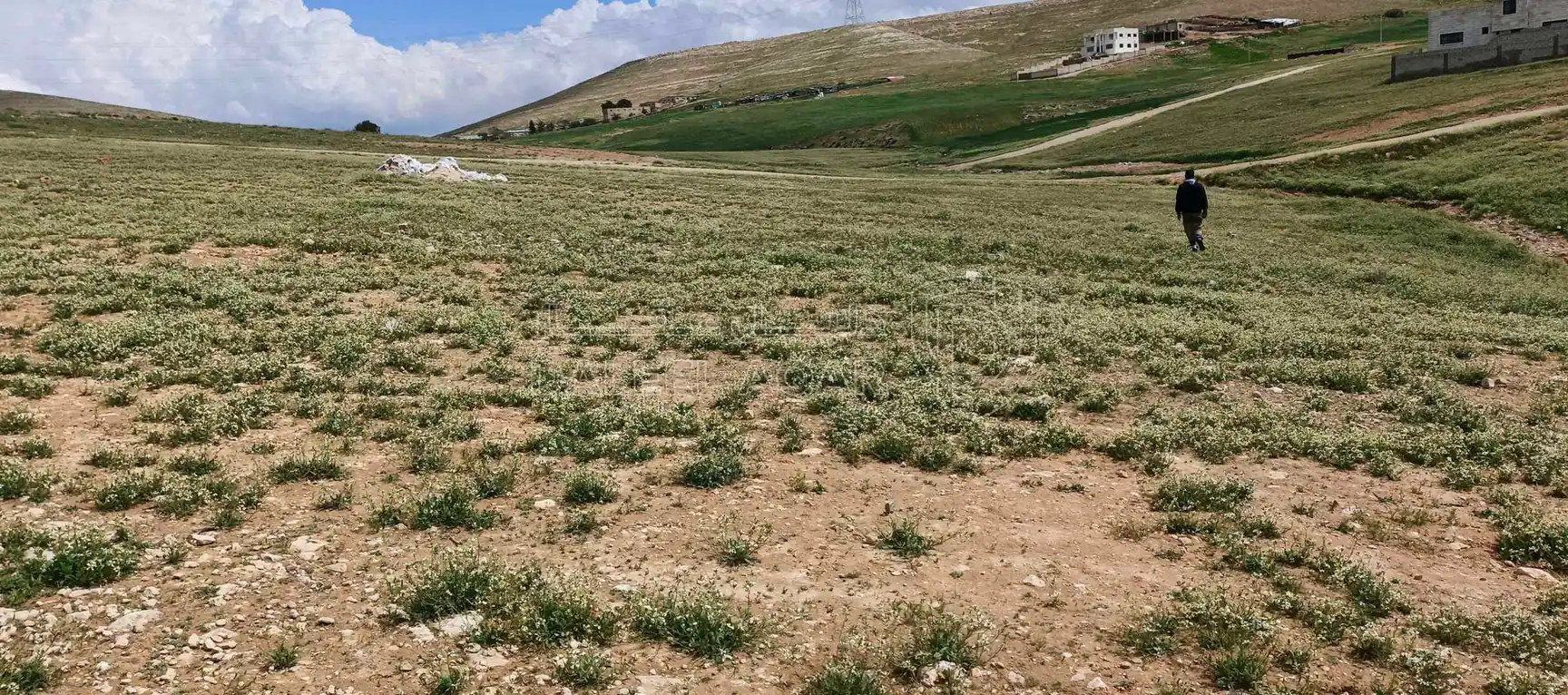 أرض في الزرقاء البتراوي اسعيدا قرب نادي اتحاد الزرقاء  - 13,500 دأ - صورة 1