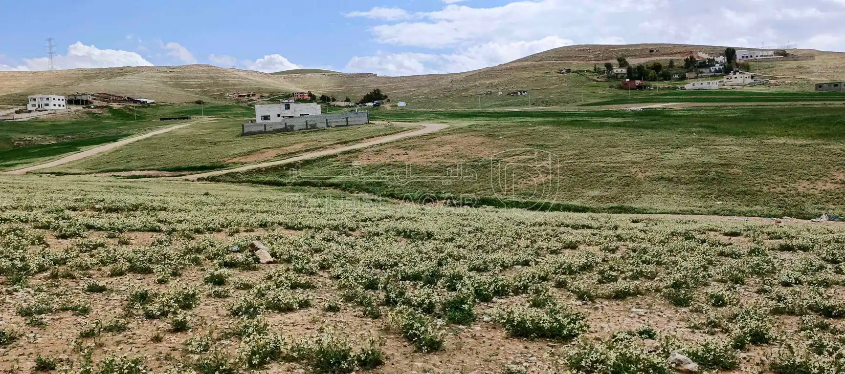 أرض في الزرقاء البتراوي اسعيدا قرب نادي اتحاد الزرقاء  - 13,500 دأ - صورة 1