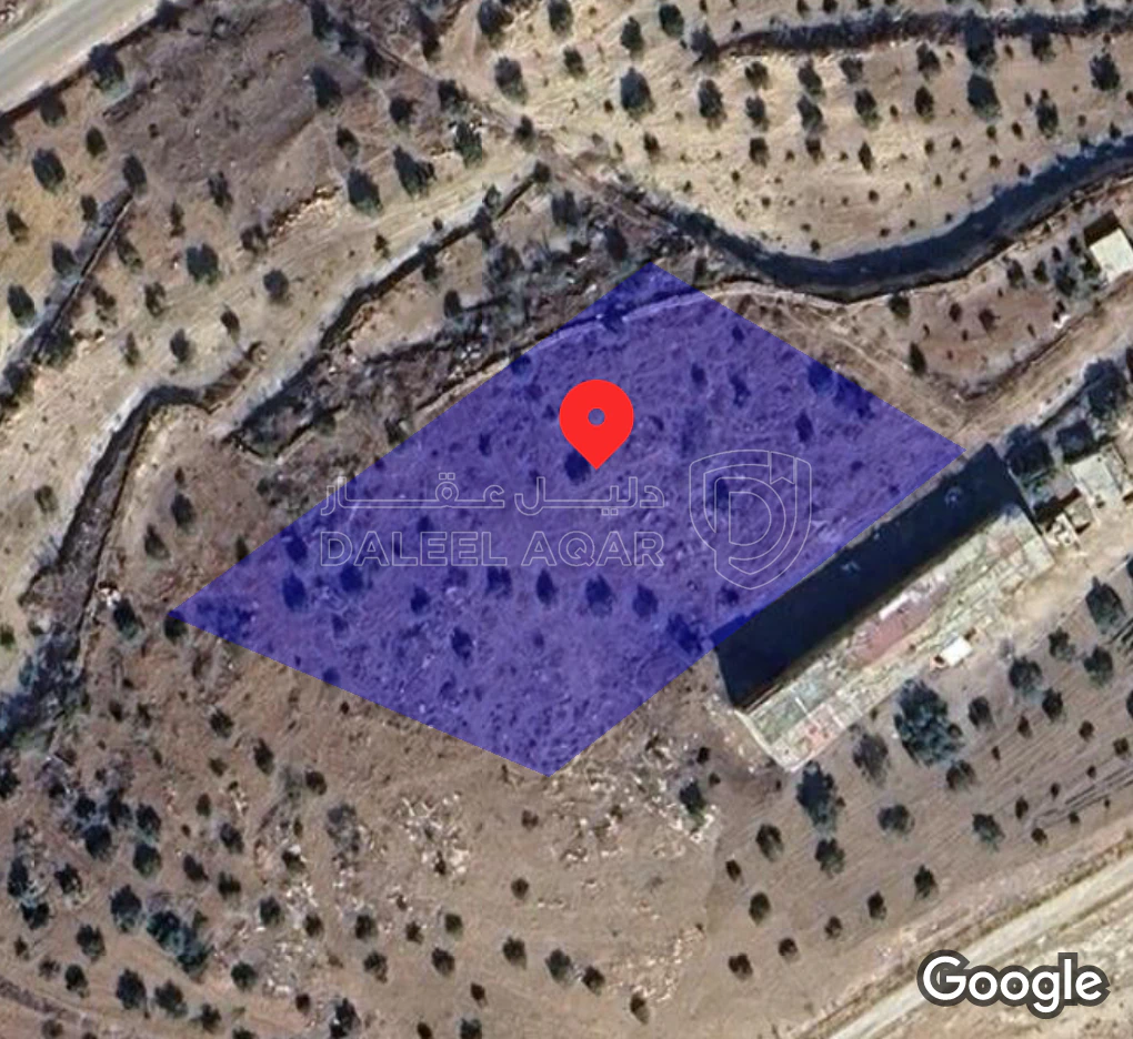 أرض في ارض للبيع:جرش/العباره/قرب مشتل فيصل - 50,000 دأ - صورة 1