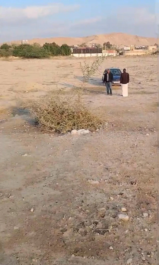 أرض في الشونة الجنوبية - الجواسرة - 32,000 دأ - صورة 1