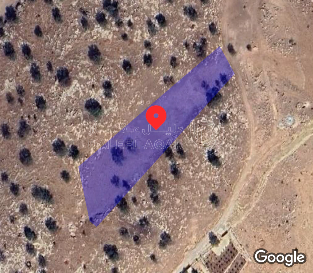 أرض في صروت تبعد عن شفا بدران 15ك ما بين بيرين والعالوك - 80,000 دأ - صورة 1