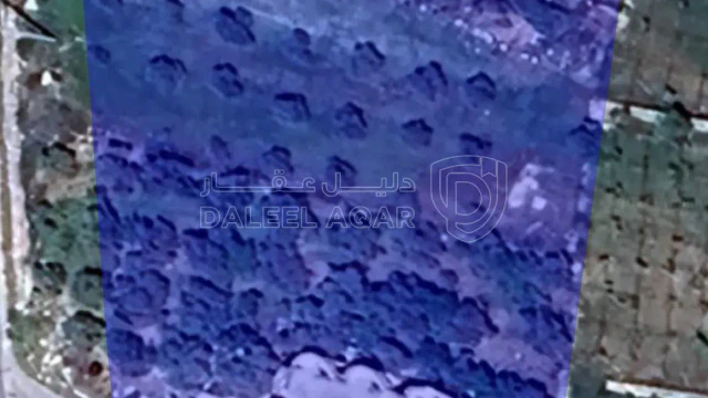 أرض في عجلون/الهاشميه - 45,000 دأ - صورة 1