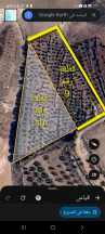 أرض في اربد - حوارة - بالقرب من (مزارع - أراضي زراعية) - 66,990 دأ - صورة NaN